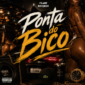 PONTA DO BICO