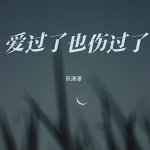 爱过了也伤过了