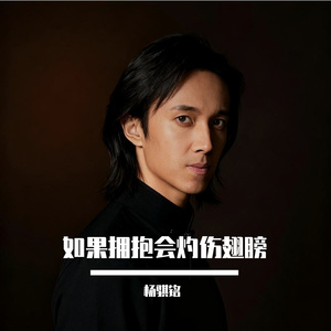 如果拥抱会灼伤翅膀