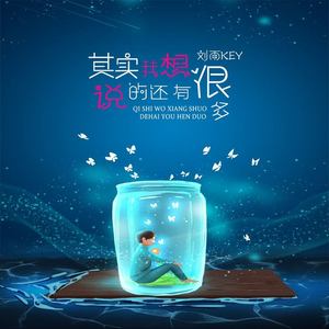 其实我想说的还有很多