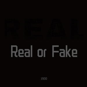 Real or Fake