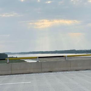 我是朵泥泞中怒放的野花