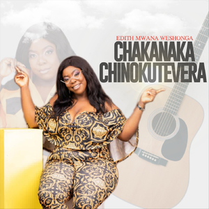 Chakanaka Chinokutevera