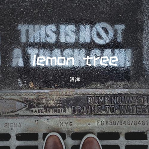 Lemon Tree（伴奏版）
