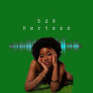528 Hurtzzz