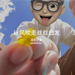 让风吹走丝丝白发