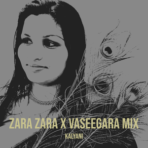 Zara Zara X Vaseegara Mix