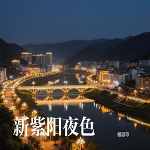 新紫阳夜色