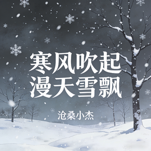 寒风吹起漫天雪飘