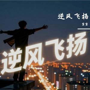 逆风飞扬