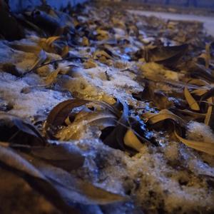 最后一次看不见那些人老去