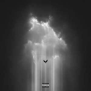 Angel Fraud