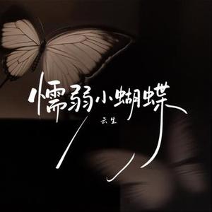 懦弱小蝴蝶