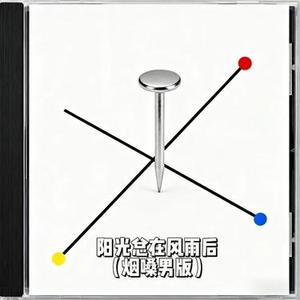 阳光总在风雨后  (Cover 许美静)