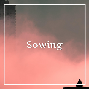Sowing