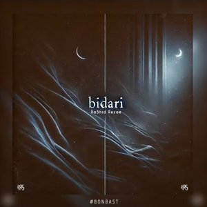 Bidari