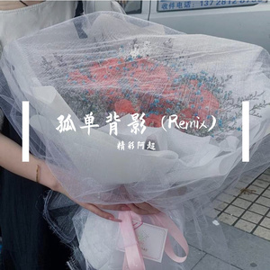 陈慧娴-孤单背影（精彩阿超 remix）