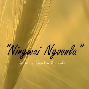 Ningwui Ngoonla