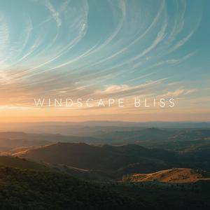 Lazy Wind Moment