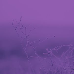 柔和的在家休息时刻