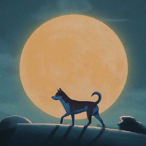 泪桥 (磁性女声版)