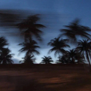 浪费（cover：徐佳莹）