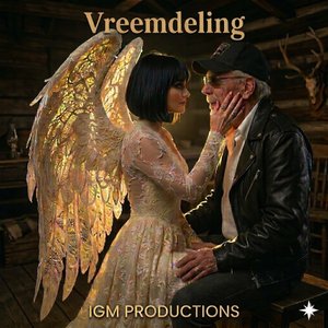 Vreemdeling