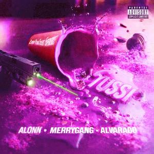 TUSSI (feat. Merry Gang & Alvaradomusic)