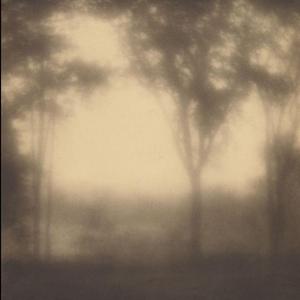 Souls That Walk This Earth