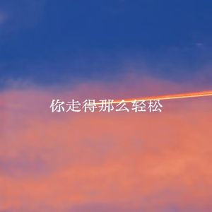 你走得那么轻松