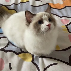 人的一生只有一个夏天，其他的都在与它做比较