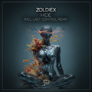 Hide (Last Control Remix)