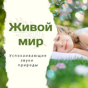 Мирный фонд