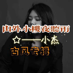 山外小楼夜听雨（独特奶音）