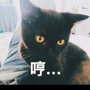 《旅行》