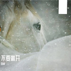 不要离开.mp3