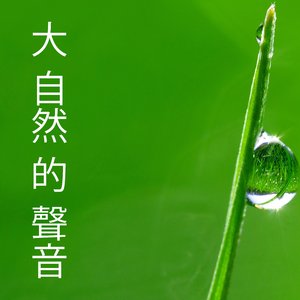 睡眠 音樂