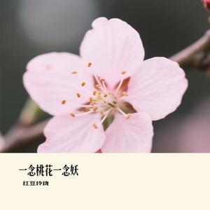 一念桃花一念妖