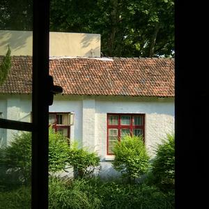 银色山坡（cover：bad sweetheart）