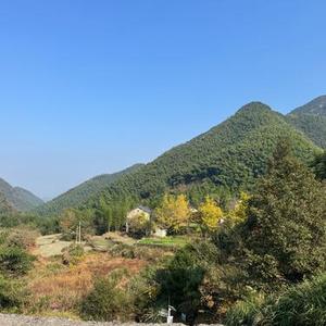 爱的时光