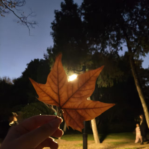 戒指