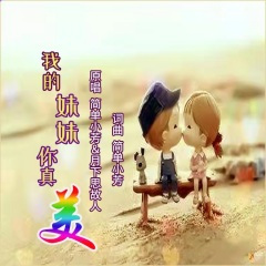 我的妹妹你真美 (DJ晓朋版)