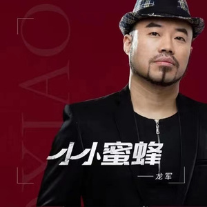 小小蜜蜂