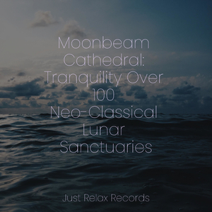 Enchantment's Echoes