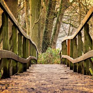 Aftertime (feat. Niibo)