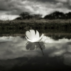 Being Here (So Confusing)