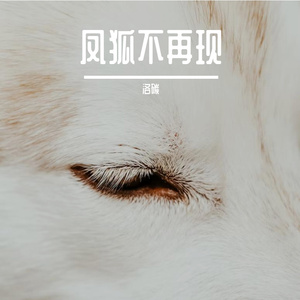 千凤寻白狐