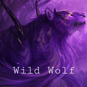 Wild wolf