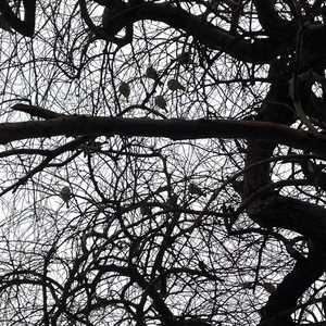 困境（prod.by.MEGA）