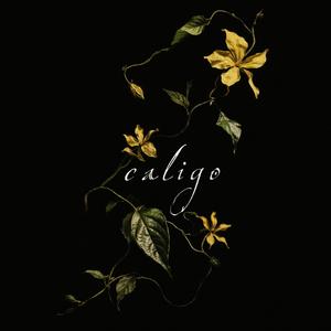 Caligo